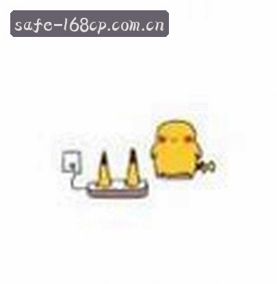 赵鹏